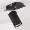 Ceiling Light Zuoz black, 1-light source
