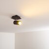 Ceiling Light Zuoz black, 1-light source