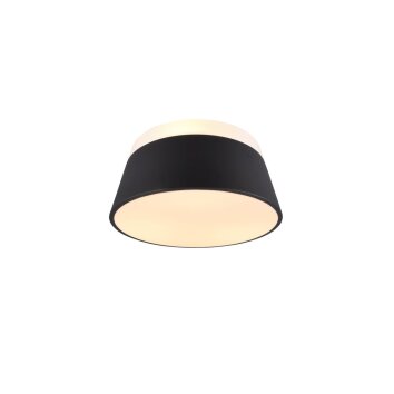 Ceiling Light Trio Leuchten BARONESS anthracite, 3-light sources