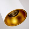 Ceiling Light Grenada gold, white, 1-light source
