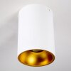 Ceiling Light Grenada gold, white, 1-light source