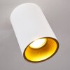 Ceiling Light Grenada gold, white, 1-light source