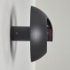 NYBORG Outdoor Wall Light LED anthracite, 1-light source