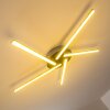 Moncton ceiling light LED matt nickel, 1-light source