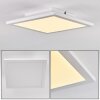Barasat Ceiling Light LED white, 1-light source