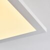 Barasat Ceiling Light LED white, 1-light source