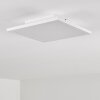 Barasat Ceiling Light LED white, 1-light source