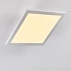 Barasat Ceiling Light LED white, 1-light source