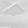 Barasat Ceiling Light LED white, 1-light source