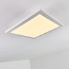 Barasat Ceiling Light LED white, 1-light source