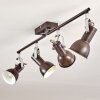Danikon Ceiling Light brown, 4-light sources
