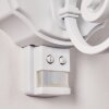 LENTUA Outdoor Wall Light white, 1-light source, Motion sensor