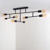 Cahaba Ceiling Light black, 8-light sources