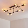 Cahaba Ceiling Light black, 8-light sources