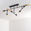 Cahaba Ceiling Light black, 8-light sources