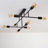 Cahaba Ceiling Light black, 8-light sources