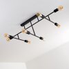 Cahaba Ceiling Light black, 8-light sources
