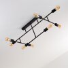 Cahaba Ceiling Light black, 8-light sources