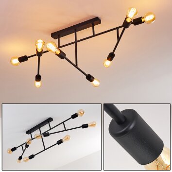 Cahaba Ceiling Light black, 8-light sources