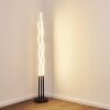 Mapleton Floor Lamp LED black, 3-light sources, Remote control
