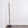 Mapleton Floor Lamp LED black, 3-light sources, Remote control
