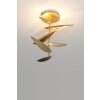 Holländer MASCOTTE Ceiling light LED gold, 6-light sources