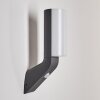 PORUS Outdoor Wall Light LED anthracite, 1-light source, Motion sensor
