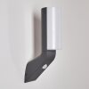 PORUS Outdoor Wall Light LED anthracite, 1-light source, Motion sensor