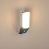 PORUS Outdoor Wall Light LED anthracite, 1-light source, Motion sensor