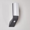 PORUS Outdoor Wall Light LED anthracite, 1-light source, Motion sensor
