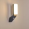 PORUS Outdoor Wall Light LED anthracite, 1-light source, Motion sensor