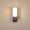 PORUS Outdoor Wall Light LED anthracite, 1-light source, Motion sensor