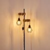BARBENGO Floor Lamp Light wood, black, 2-light sources
