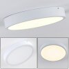 Broglen Ceiling Light LED white, 1-light source