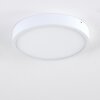 Broglen Ceiling Light LED white, 1-light source