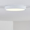 Broglen Ceiling Light LED white, 1-light source