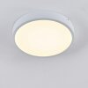 Broglen Ceiling Light LED white, 1-light source