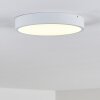 Broglen Ceiling Light LED white, 1-light source