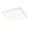 Globo ALENA Ceiling light LED white, 1-light source