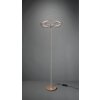 Trio CHARIVARI Floor Lamp LED brass, 1-light source