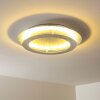 Springdale ceiling light LED silver, 4-light sources