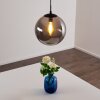 Agropoli Pendant Light smoke coloured, black, 1-light source