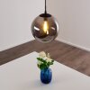 Agropoli Pendant Light smoke coloured, black, 1-light source