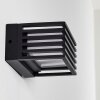 Outdoor Wall Light Michele LED black, 1-light source