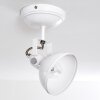 TINA ceiling light white, 1-light source