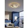 Ceiling Light Fischer & Honsel Bug LED gold, 1-light source, Remote control