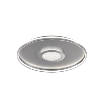 Ceiling Light Fischer & Honsel Bug LED gold, 1-light source, Remote control