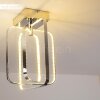 Sepino ceiling light LED chrome, 1-light source