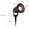 Outdoor light Steinhauer Roos black, 1-light source