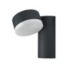 LEDVANCE ENDURA Outdoor Wall Light black, 1-light source
